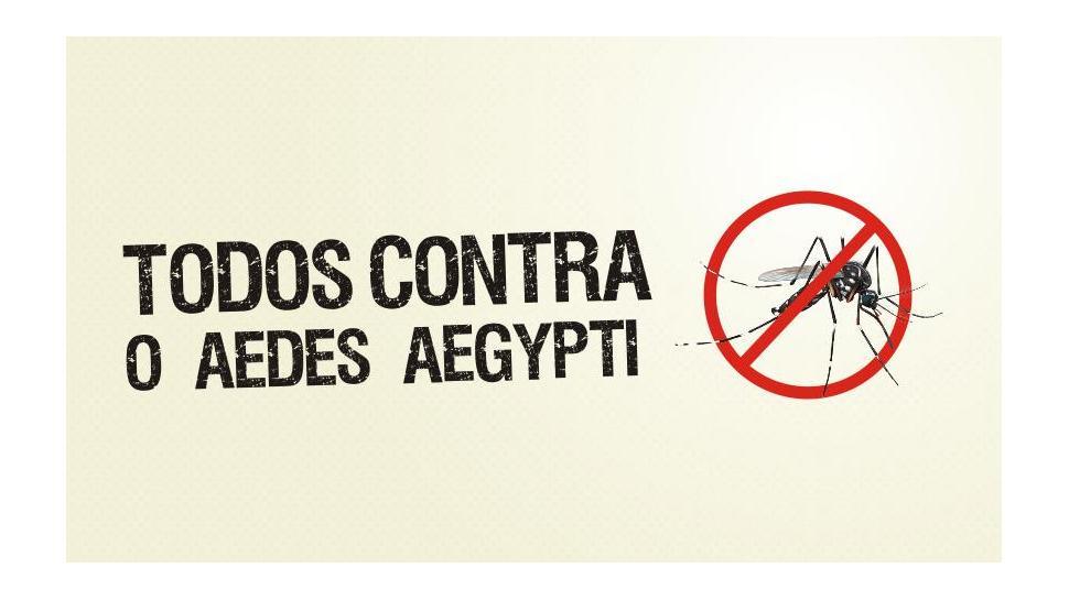 Alerta no Ceará: Casos de dengue sobem 172% e 34 cidades entram em risco de epidemia