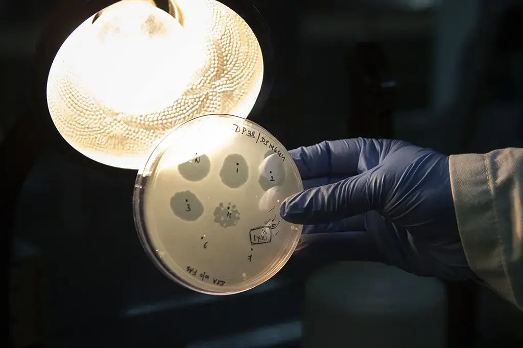 Cientistas fabricam os primeiros vírus biológicos criados por IA