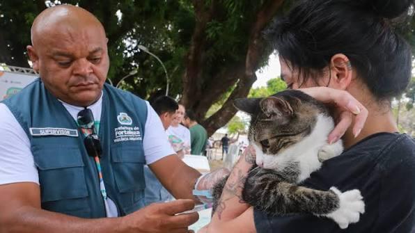 Fortaleza tem 52 pontos de vacinação contra raiva em cães e gatos neste sábado; confira locais