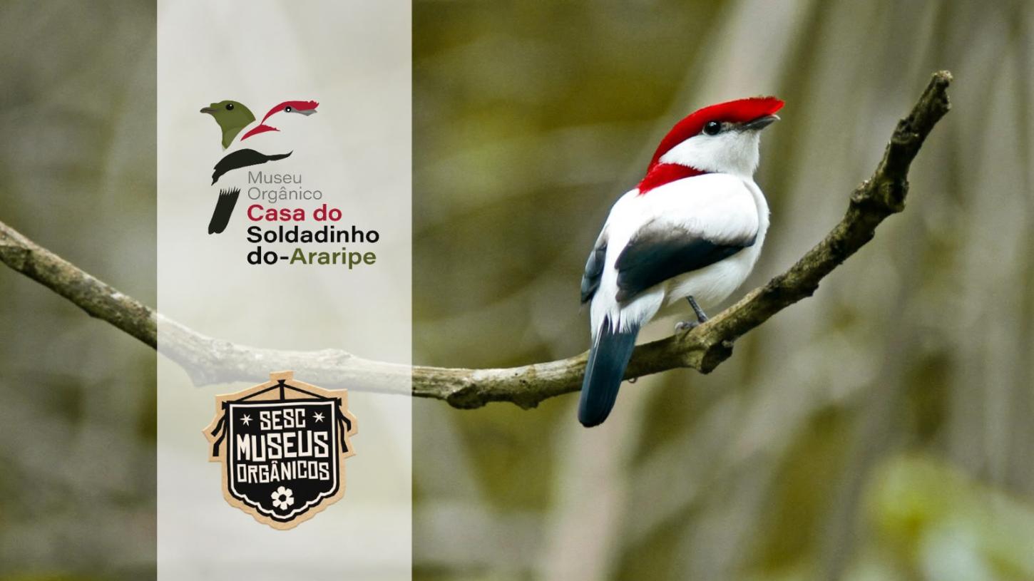 Museus Orgânicos do Sesc Ceará chegam ao 30º espaço no Cariri