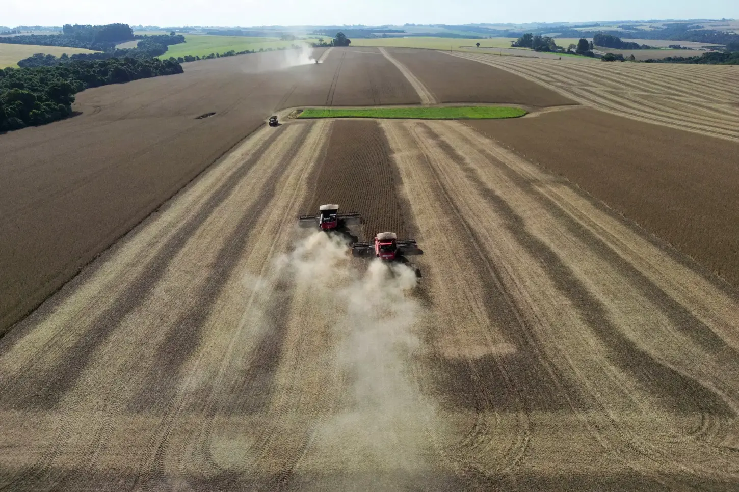 O agro quebra mais que qualquer outro setor — e não é por causa da safra