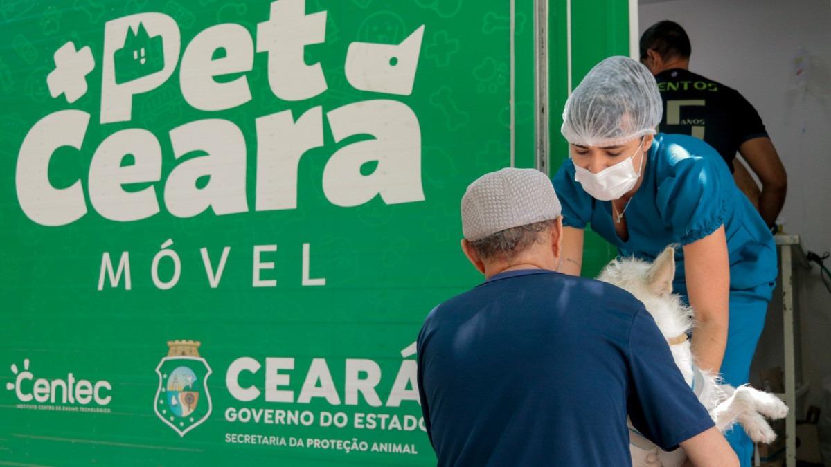 Unidade móvel de castração atende cães e gatos em Pentecoste até sexta-feira, 8