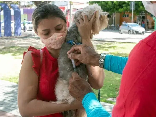 Eusébio promove campanha de vacinação para cães e gatos em 11 pontos