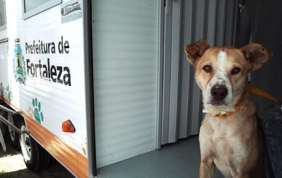 Henrique Jorge recebe serviços de atendimento veterinário do VetMóvel