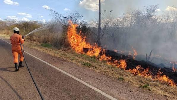 Balanço aponta aumento de 242 incêndios em vegetações em 2026 no CE