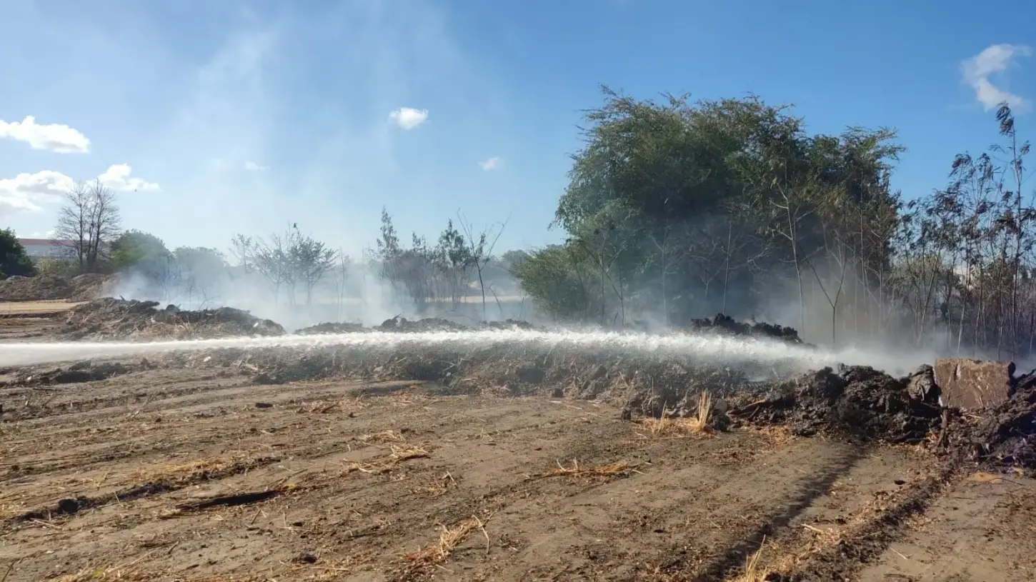 Incêndio atinge vegetação do terreno do ITA Ceará, em Fortaleza