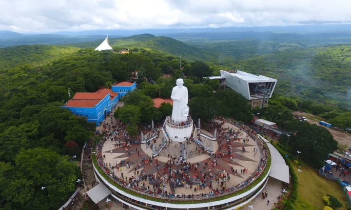 Ataque de abelhas causa correria na Colina do Horto e suspende visitas à estátua do Padre Cícero. 