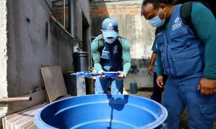 Dengue no Ceará: Estado registra mais de 13 mil confirmações em 2026