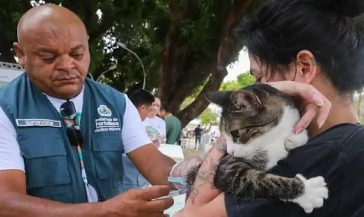 Fortaleza tem 52 pontos de vacinação contra raiva em cães e gatos neste sábado; confira locais