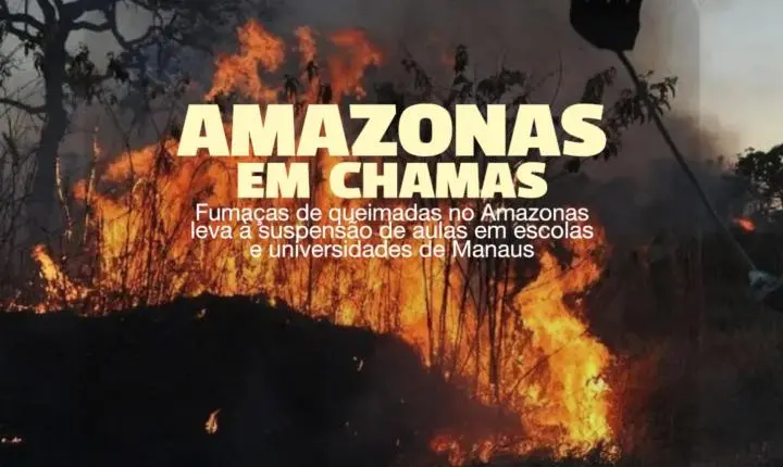 Fumaça encobre cidades e queimadas deixam rastro de destruição no Amazonas; veja vídeo