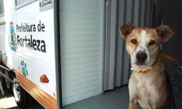 Henrique Jorge recebe serviços de atendimento veterinário do VetMóvel