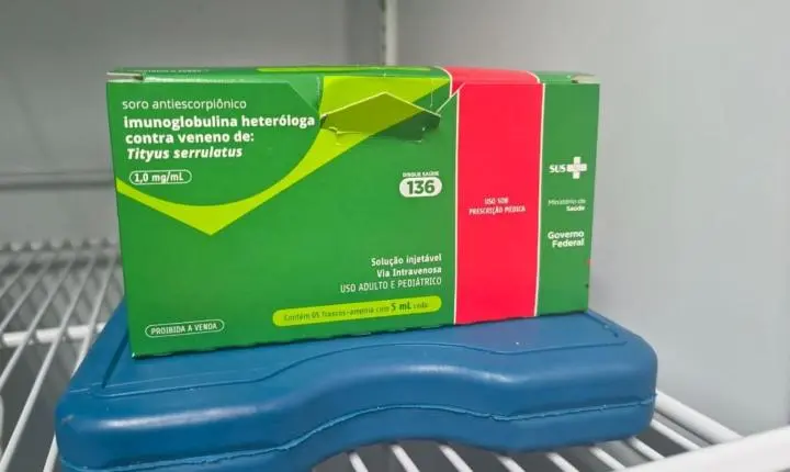 IJF alerta para aumento de acidentes com escorpiões no Ceará