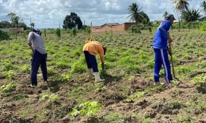 Imposto Rural no Ceará: veja quem deve declarar o ITR até dia 30