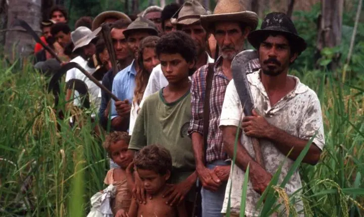 Imposto Rural no Ceará: veja quem deve declarar o ITR até dia 30