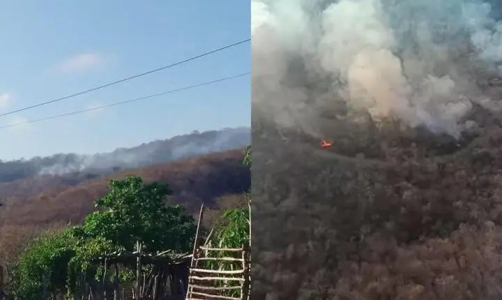 Incêndio atinge há cinco dias comunidades da zona rural de Pacujá, no interior do Ceará