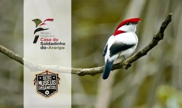 Museus Orgânicos do Sesc Ceará chegam ao 30º espaço no Cariri