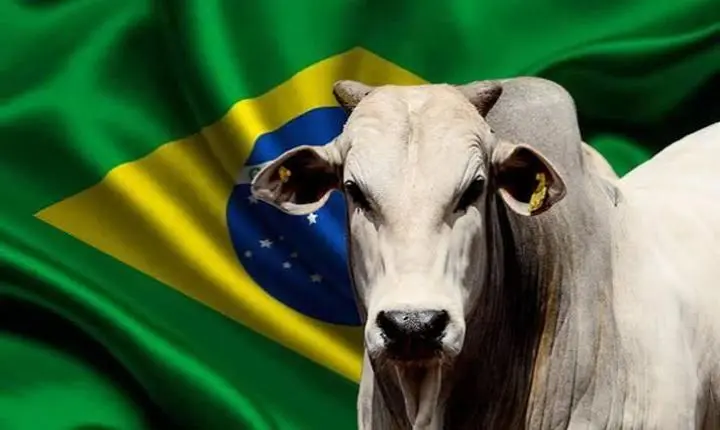 Veto à carne brasileira começa a valer no dia 3 de setembro; preços devem subir no Brasil