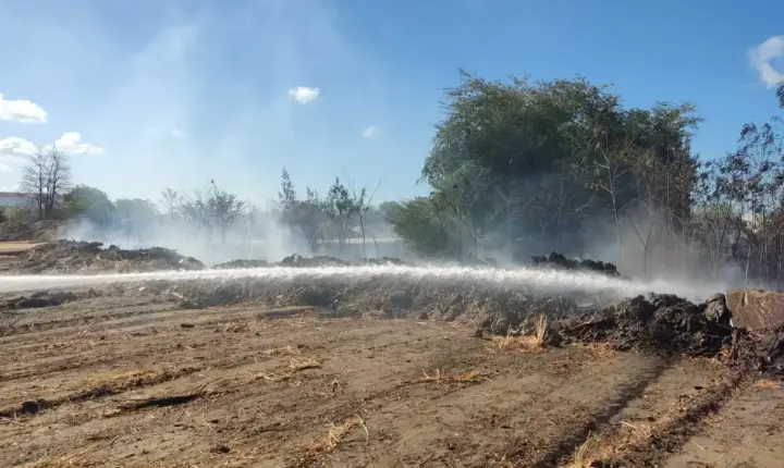 Incêndio atinge vegetação do terreno do ITA Ceará, em Fortaleza