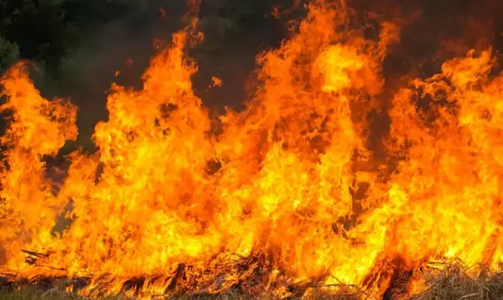 Amazonas tem 36 cidades em emergência por incêndios: ‘mais grave do que eu imaginava’, diz ministro